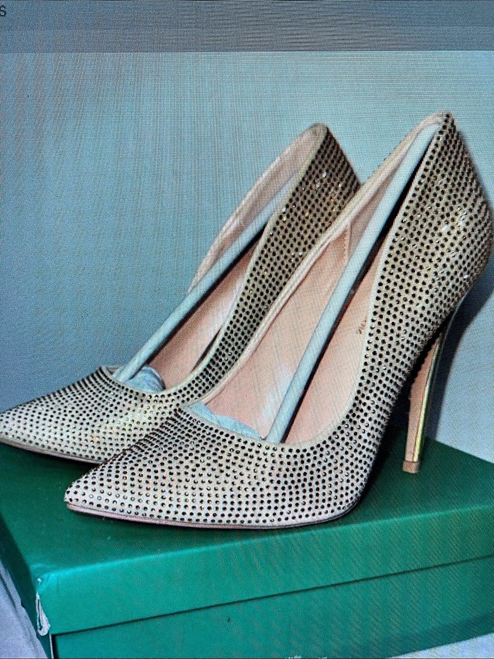 Crystal Pointed-Toe Heels in Silver Like New